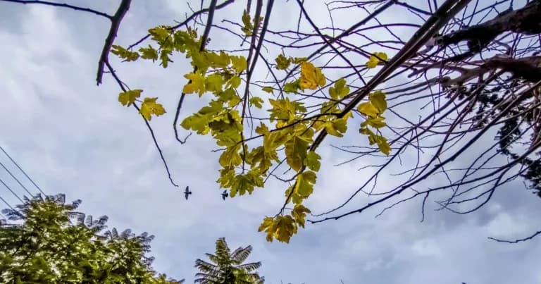 Ο καιρός σήμερα: Αίθριος στην Αττική, βροχές και καταιγίδες στα βόρεια