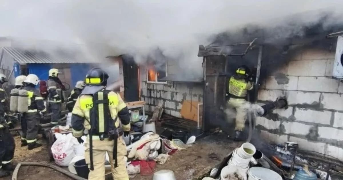 Φωτιά στη Ρωσία: 200 τσιουάουα νεκρά σε εκτροφείο