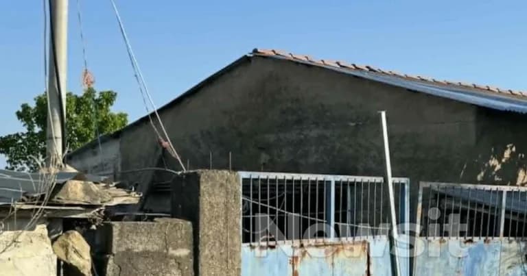 Νεκρός άνδρας σε στάβλο στην Καλαμάτα — έρευνα για ανθρωποκτονία