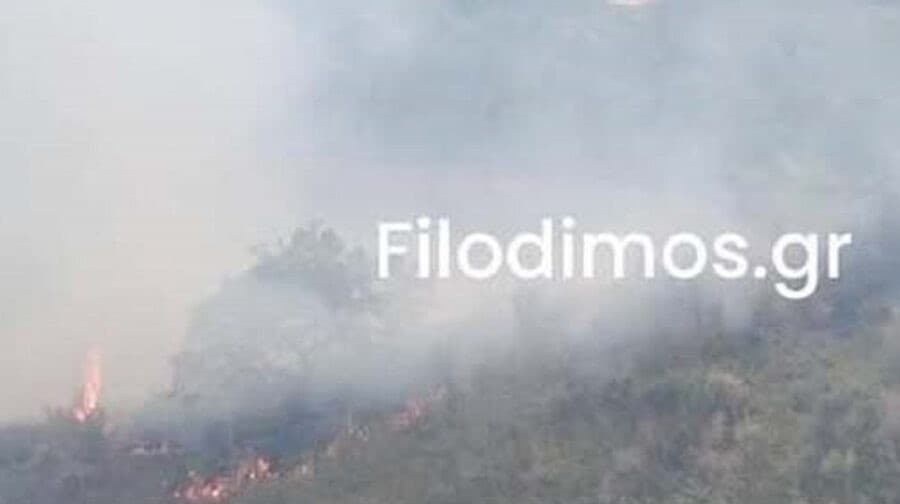 Φωτιά στην Αιγιάλεια κοντά στα Σελιανίτικα Αιγίου