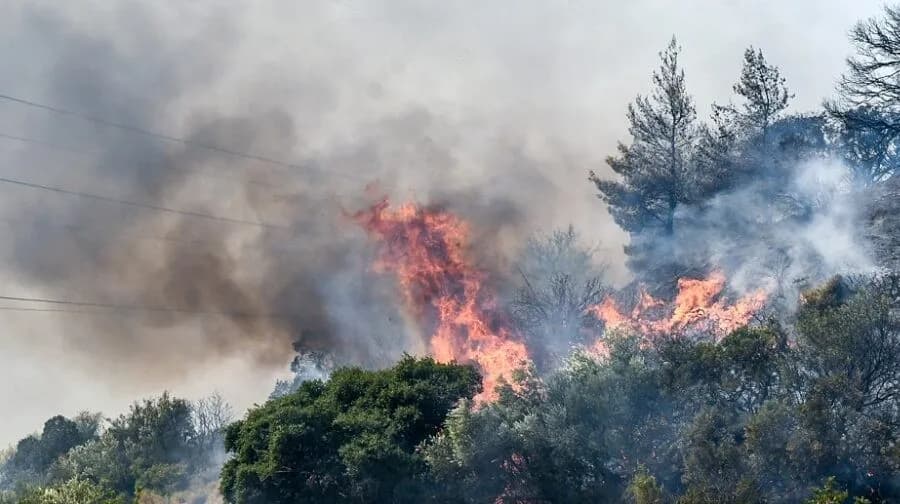 Φωτιά στο Νεοχώρι Πηλίου: Μάχη με τις φλόγες