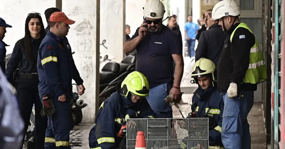 Μπλακ άουτ στο υπουργείο Αγροτικής Ανάπτυξης από έκρηξη