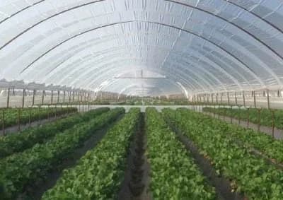 Η Daios Plastics αντιμετωπίζει αυξήσεις στις πρώτες ύλες