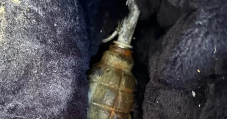 Χειροβομβίδα σε διαμέρισμα της Κυψέλης – 3 συλλήψεις