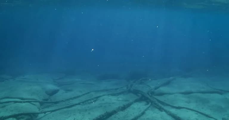 Η ΑΑΔΕ στήνει ψηφιακή παγίδα στη φοροδιαφυγή το 2026