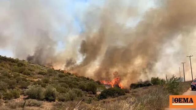 Πυρκαγιές: 365 πρόστιμα και 60 συλλήψεις σε πέντε μήνες