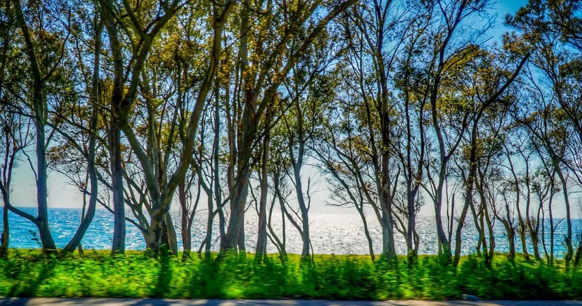 Ο καιρός αλλάζει: Από χιόνια Μαΐου σε 30 βαθμούς
