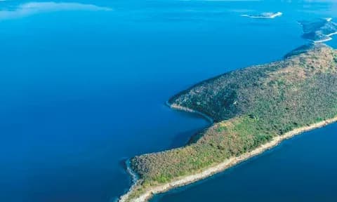 Η Μάκρη στις Εχινάδες: Κατάρρευση τιμής σε πλειστηριασμούς