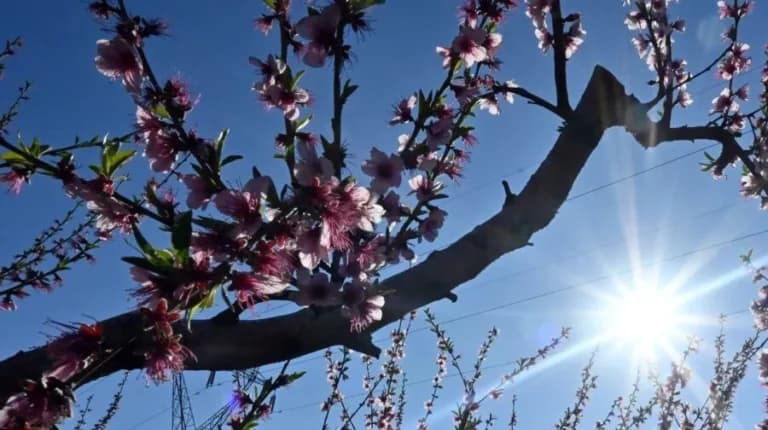 Από τα χιόνια στο καλοκαίρι — 30 βαθμοί στα ηπειρωτικά