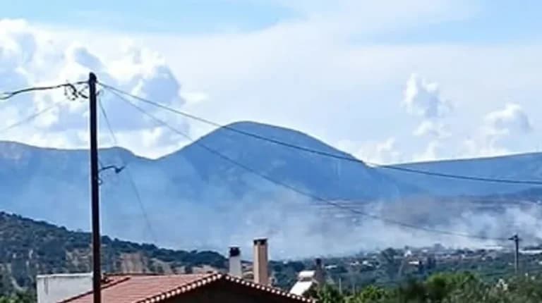 Φωτιά στα Καλύβια Θορικού: 62 πυροσβέστες στη μάχη