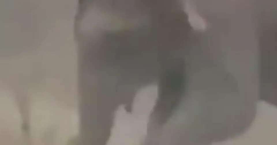 Ο Έρνι Ντόζιο σκοτώθηκε από ελέφαντα σε σαφάρι στη Γκαμπόν