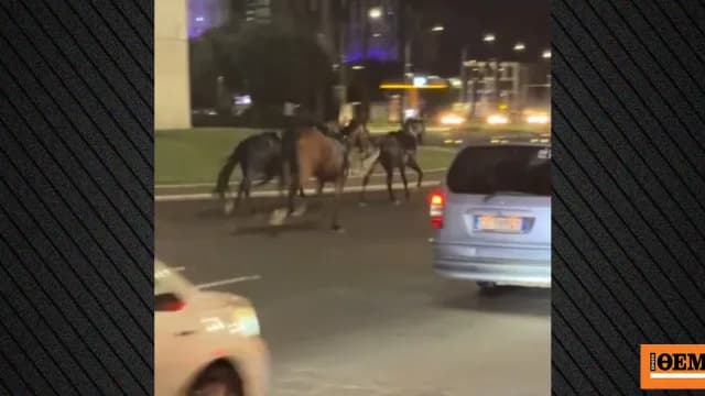 Τριάντα στρατιωτικά άλογα ξέφυγαν σε λεωφόρο της Ρώμης