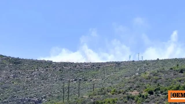Φωτιά στη Βοιωτία: Μεγάλη κινητοποίηση στον Άγιο Βασίλειο