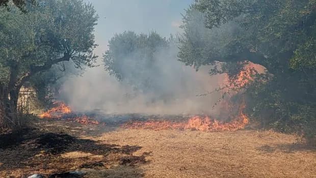 Φωτιά στη Βρία Κατερίνης: 32 πυροσβέστες και 3 εναέρια
