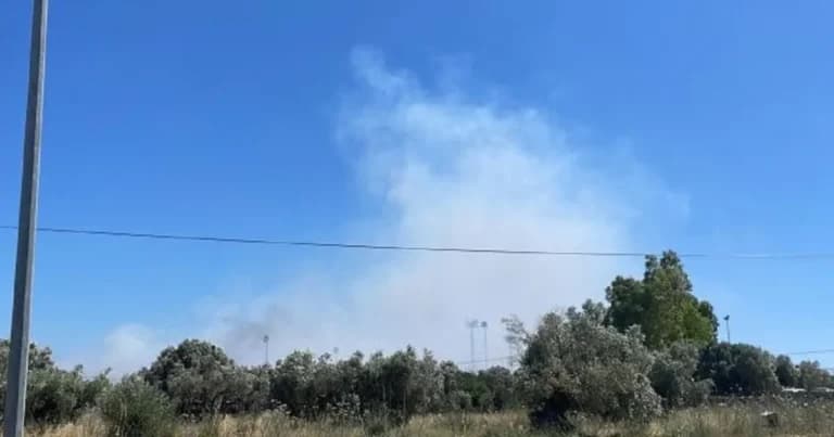 Φωτιά Ακραίφνιο: Τρία πύρινα μέτωπα σε Αττική και Βοιωτία