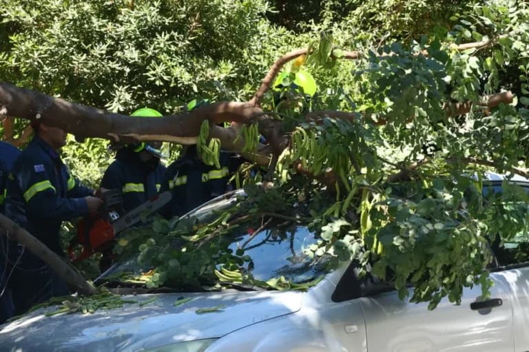 Δέντρο καταπλάκωσε αυτοκίνητο στο Παγκράτι από ισχυρούς ανέμους