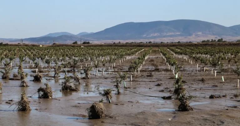 Οι αγρότες παίρνουν 67 εκατ. ευρώ για φωτιές και πλημμύρες