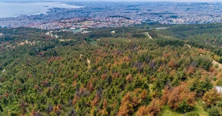Ο ΔΕΔΔΗΕ ολοκλήρωσε υπογειοποίηση στο Σέιχ Σου