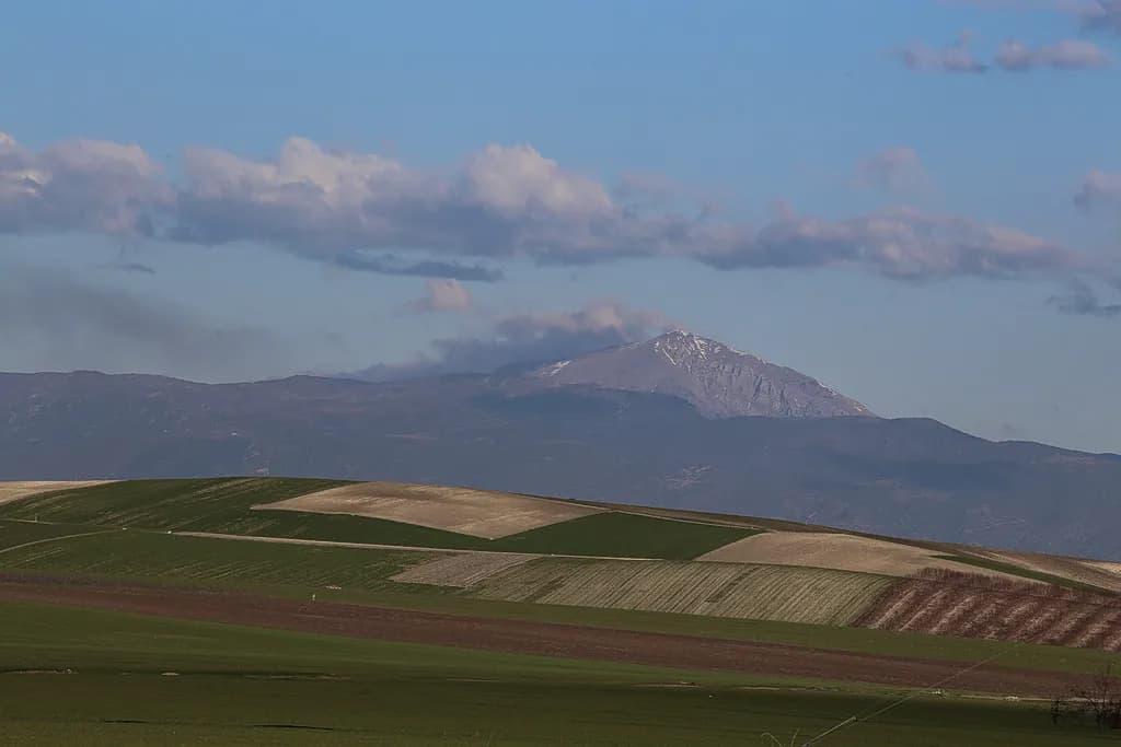 Η συμφωνία Ελλάδας–Αιγύπτου για 5.000 εποχικούς εργάτες γης