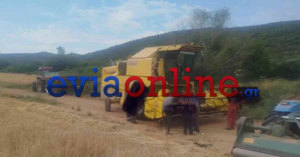 Σύλληψη 64χρονου για πυρκαγιά από αμέλεια στην Εύβοια