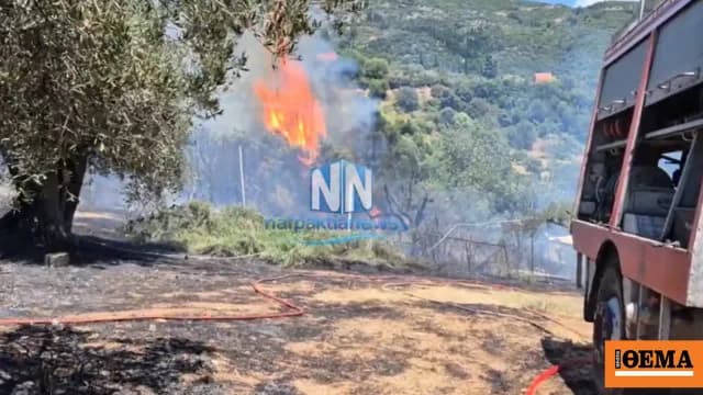Η φωτιά στη Μαμουλάδα πλησίασε σπίτια και πυλώνα υψηλής τάσης
