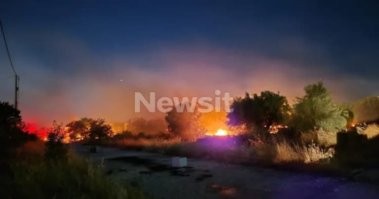 Φωτιά στα Άνω Λιόσια: Συναγερμός στην Πυροσβεστική
