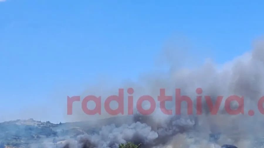 Πυρκαγιά στη Βοιωτία: Εκκένωση στην Πέτρα Αλιάρτου