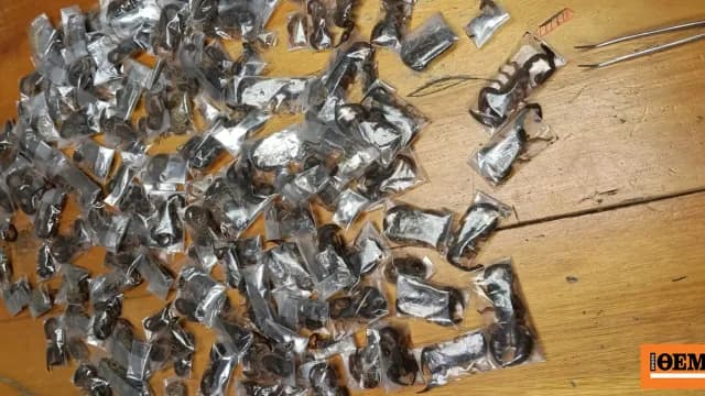 Συνελήφθη με 150 σκορπιούς στο αεροδρόμιο Κέιπ Τάουν
