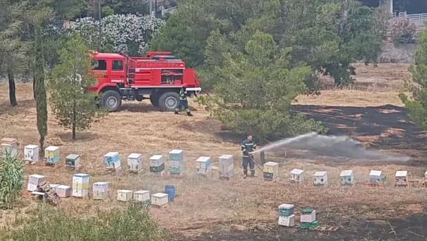 Η φωτιά στο Άλσος Βεΐκου από κάπνισμα μελισσιών
