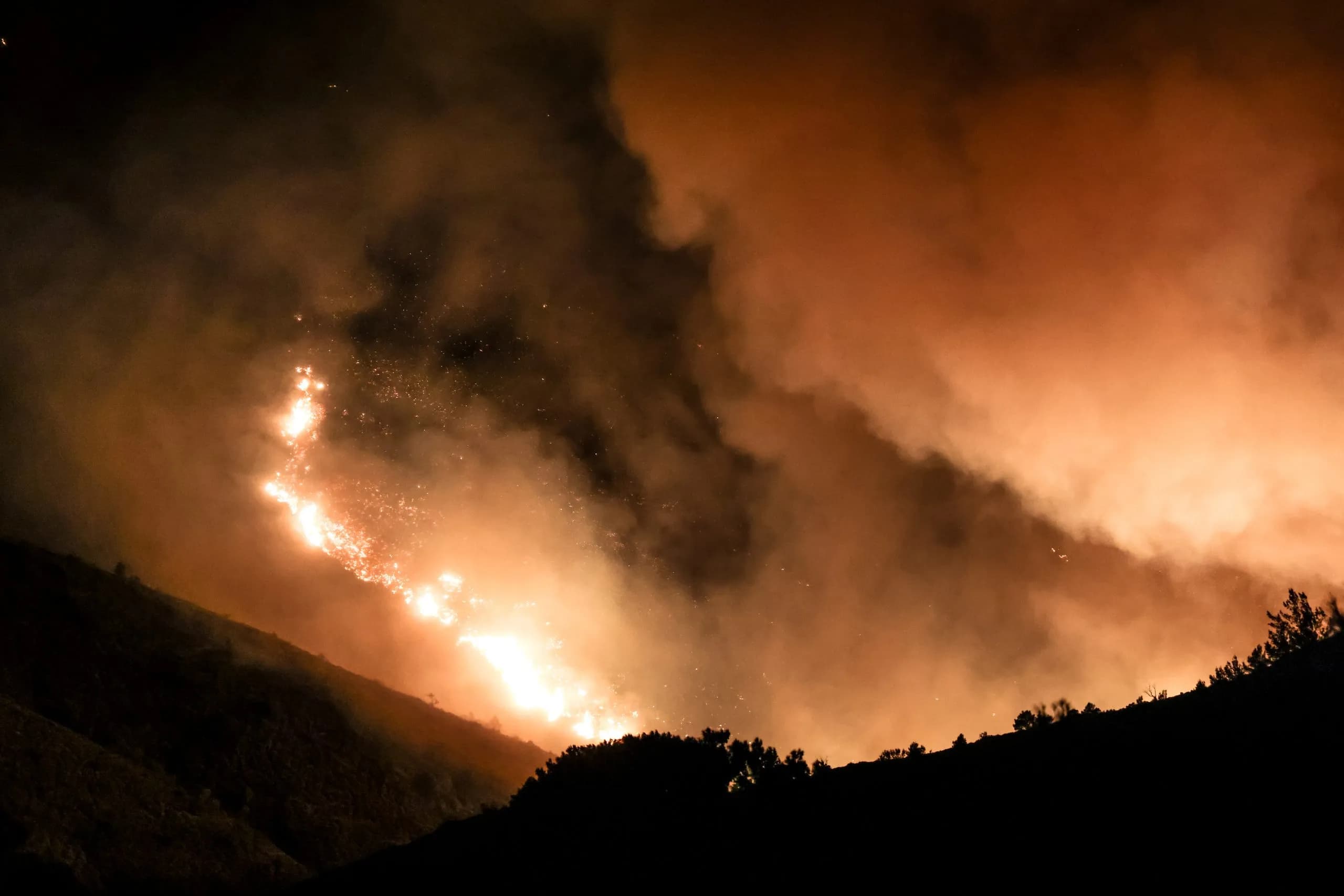 Άνοιξε η πλατφόρμα ενίσχυσης πυρόπληκτων επιχειρήσεων Χίου