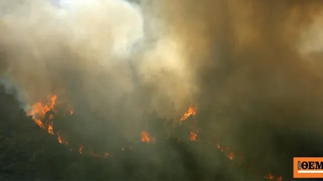 Οι πυρκαγιές στην Πορτογαλία αφήνουν εννιά τραυματίες