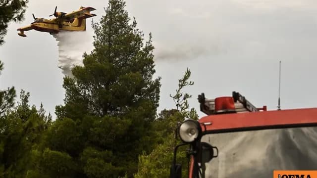 Υψηλός κίνδυνος πυρκαγιάς σήμερα σε νησιά και Κρήτη