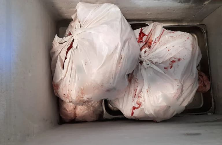 Κατάσχεση 6,2 τόνων ακατάλληλων κρεάτων στην Αττική