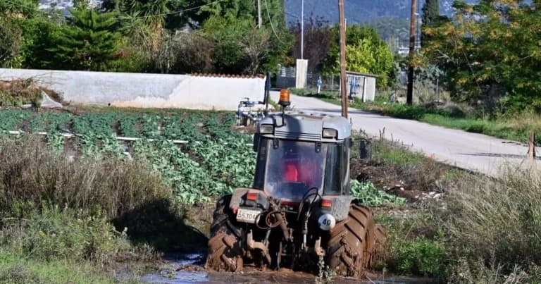 Ο ΕΛΓΑ ξεκινά αυτοψίες μετά τη χαλαζόπτωση σε Θεσσαλία