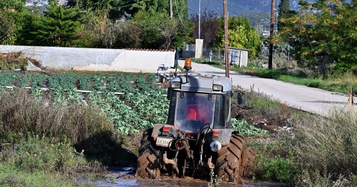 Ο ΕΛΓΑ ξεκινά αυτοψίες μετά τη χαλαζόπτωση σε Θεσσαλία