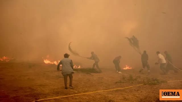 Στους 14 οι νεκροί από την πυρκαγιά στην Ανδαλουσία