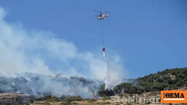 Η φωτιά στη Σκάλα Ερεσού βάζει σε συναγερμό τη Λέσβο