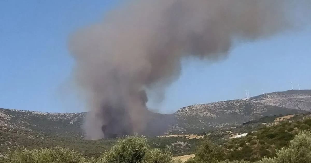 Φωτιά στην Αγία Ελένη Τροιζηνίας: Εντολή εκκένωσης από 112