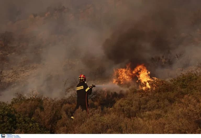 Οι φωτιές σε δασικές εκτάσεις σε Ιωάννινα και Χαλκιδική