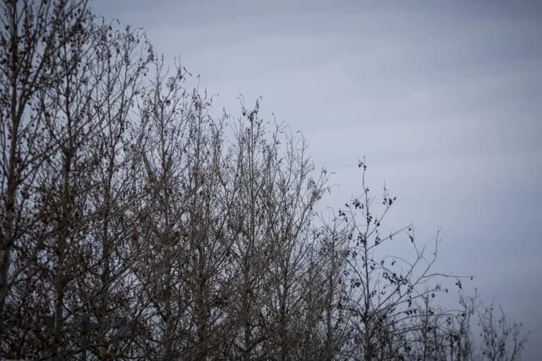 Ο καιρός τη Δευτέρα: Ζέστη έως 38 βαθμούς και σκόνη