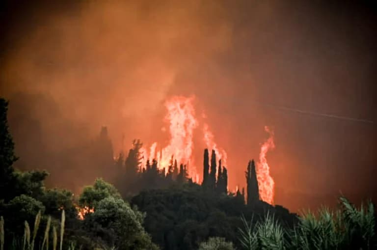Πυρκαγιές στη Γαλλία: Υπό έλεγχο στο Λαντ, μάχη στη Ζιρόντ