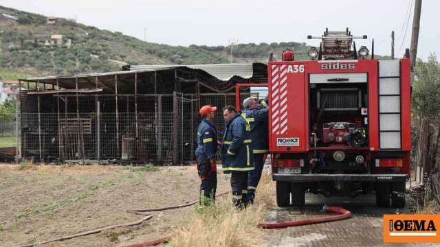 Υψηλός Κίνδυνος Πυρκαγιάς Αύριο σε Αττική, Εύβοια, Ρόδο