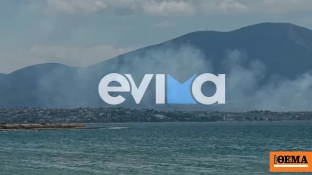 Οριοθετήθηκε η φωτιά στη Δροσιά Χαλκίδας μετά το 112