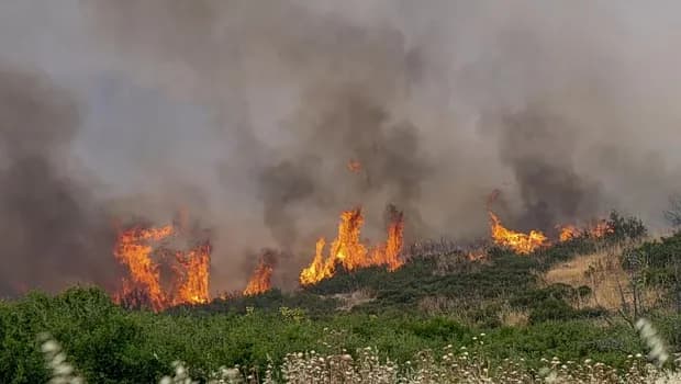 Η φωτιά στη Θέρμη Θεσσαλονίκης τέθηκε υπό έλεγχο σε ώρες