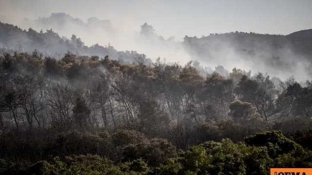 Η φωτιά στην Οινόη Αττικής δημιουργεί δικό της καιρό