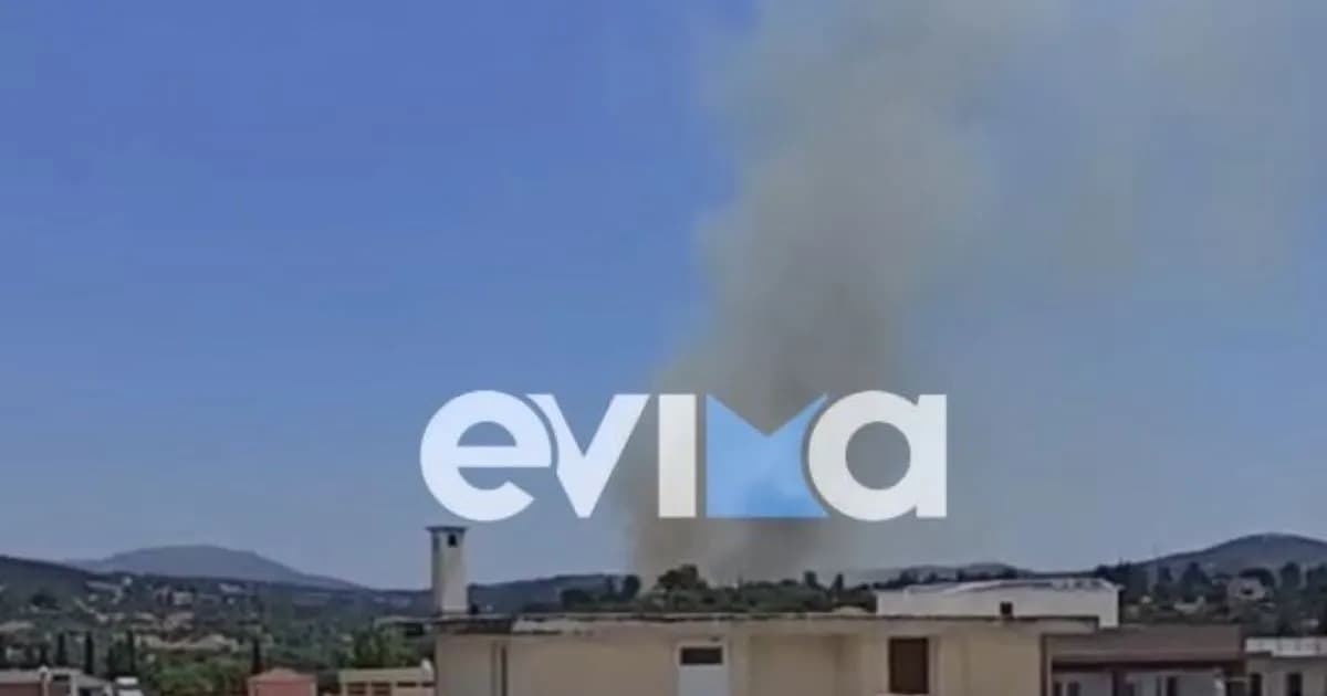 Μεγάλη φωτιά στην Εύβοια: Συναγερμός στο Αλιβέρι