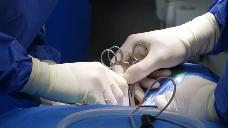Ιστορική μεταμόσχευση ωχράς κηλίδας σε τυφλή γυναίκα