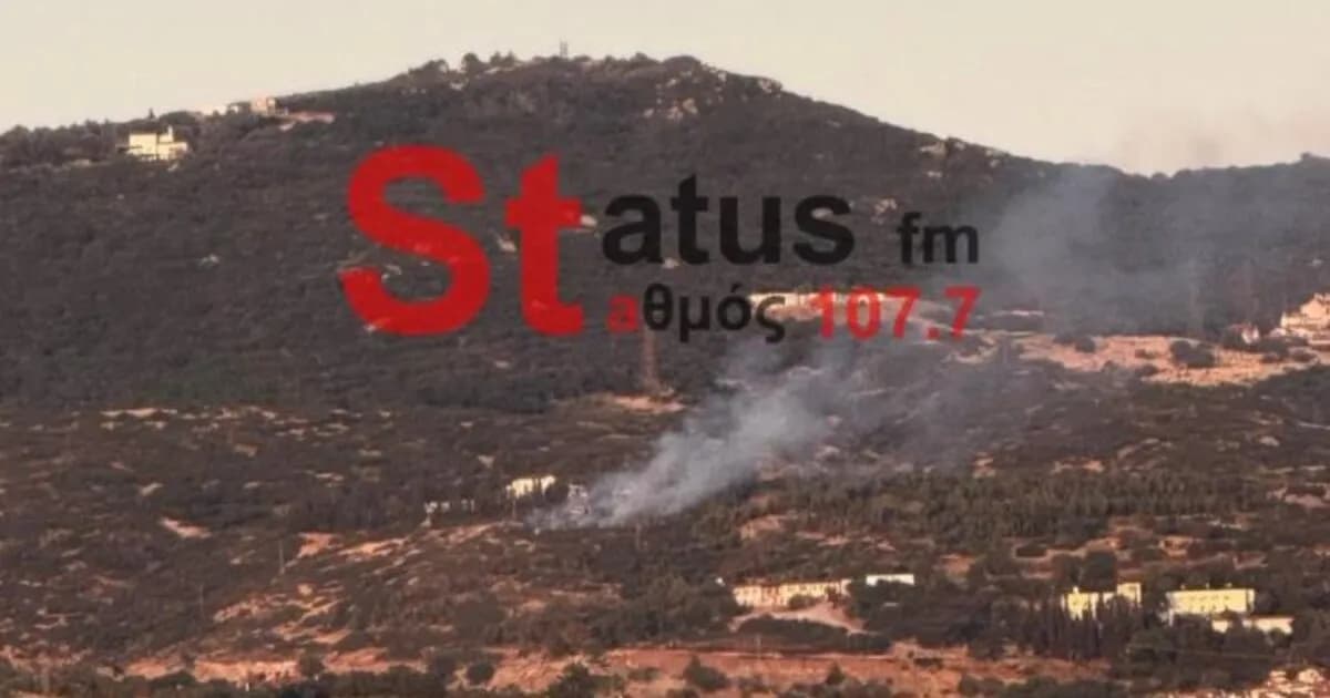 Πυρκαγιές στη Θεσσαλονίκη: Μάχη σε Πεύκα και Λιβάδι Θέρμης