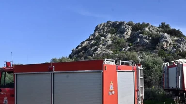 Φωτιά στο Τριάδι Θέρμης: Επιχείρηση με 22 πυροσβέστες