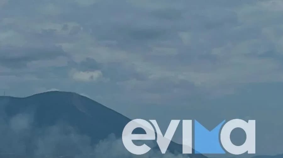 Φωτιά σε βλάστηση στη Δροσιά Χαλκίδας: 40 πυροσβέστες